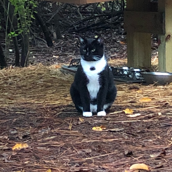 Meet your Posher, Gilda - Picture 10 of 10